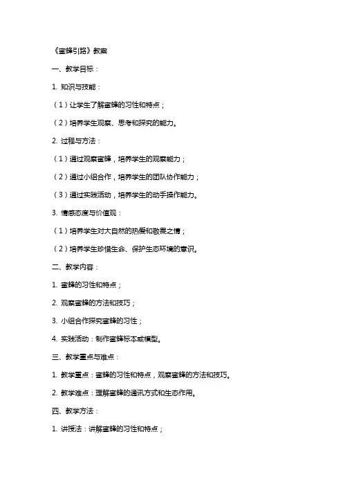 《蜜蜂引路》教案