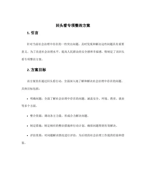 回头看专项整治方案