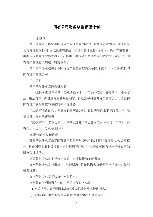 国有公司财务总监管理计划