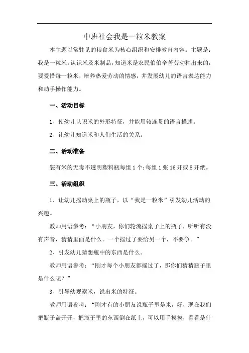 中班社会我是一粒米教案