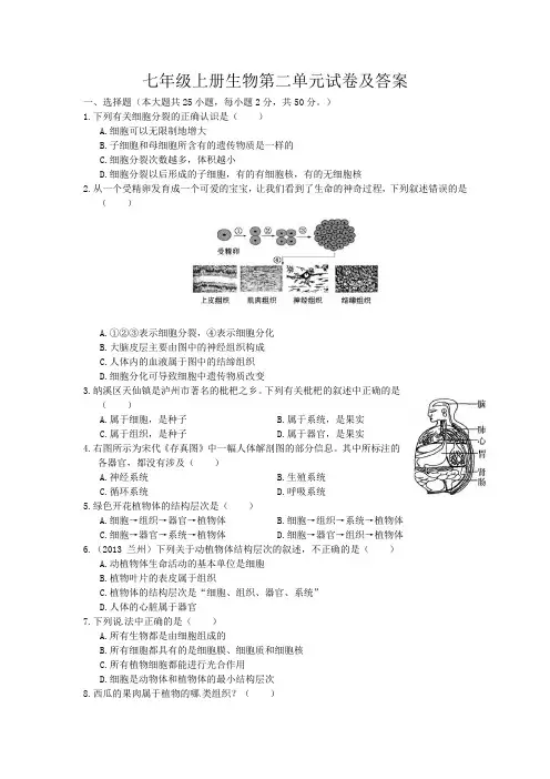 七年级上册生物第二单元试卷及答案