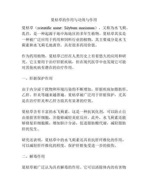 夏枯草的作用与功效与作用