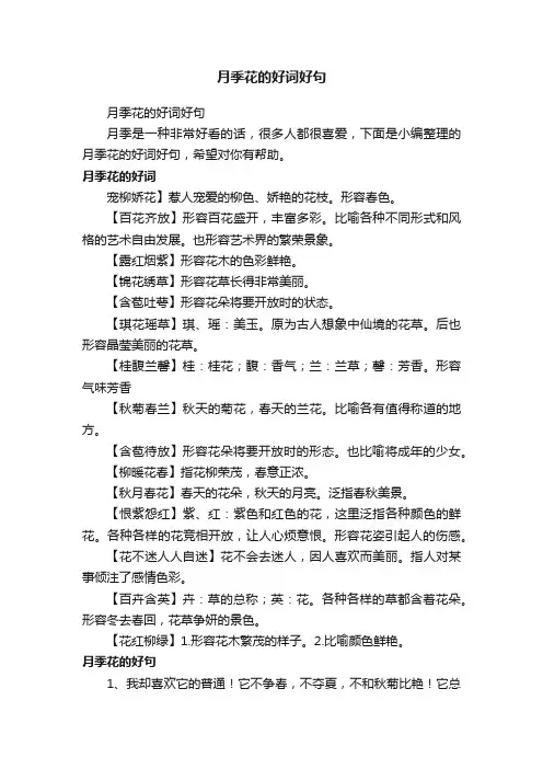 月季花的好词好句