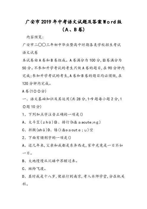 中考语文试题及答案(A B卷)