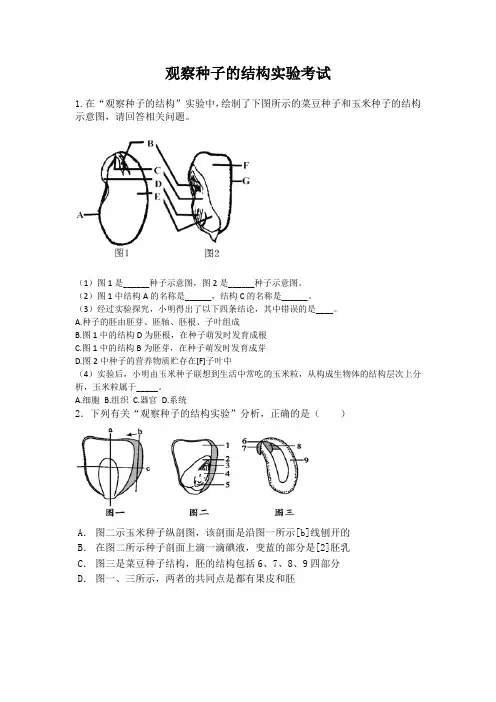 观察种子的结构实验考试