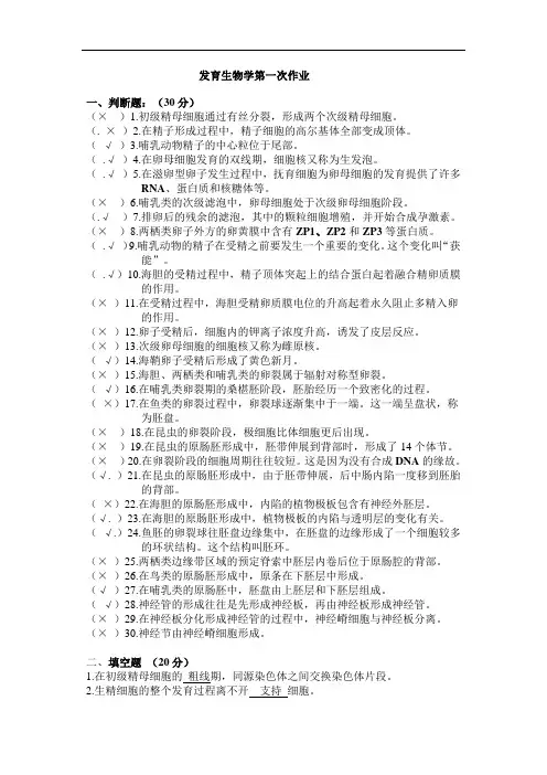 生发育学作业