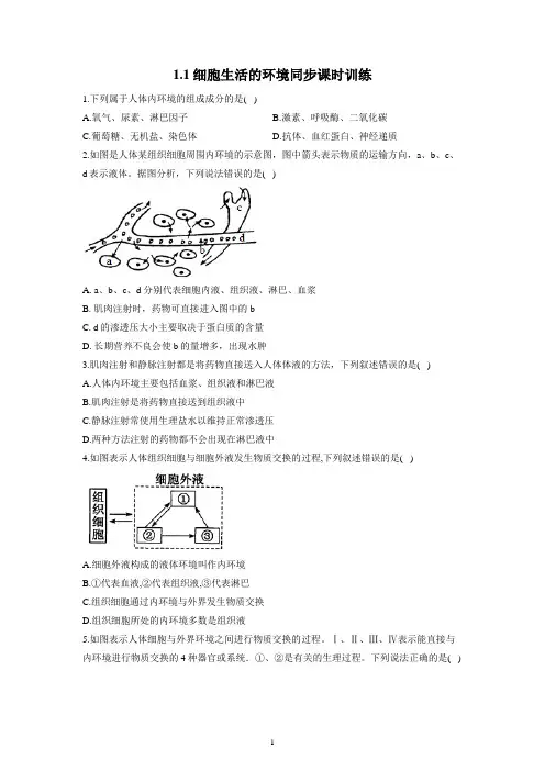 细胞生活的环境同步练习 8