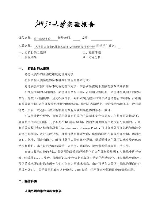 人类外周血染色体标本制备及G带观察及核型分析