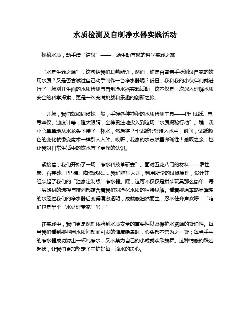 水质检测及自制净水器实践活动