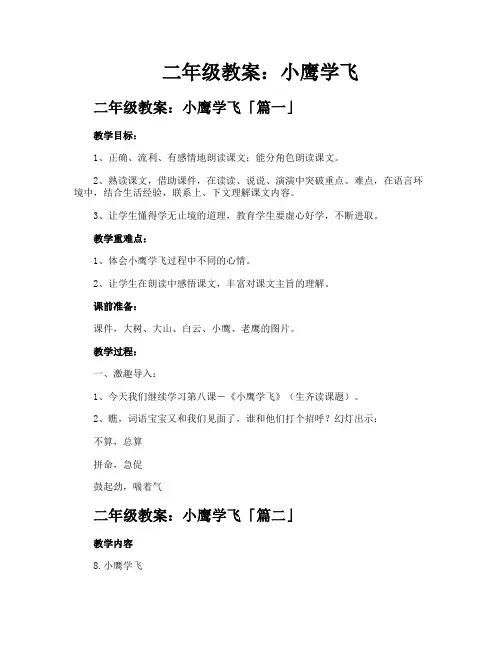 二年级教案小鹰学飞