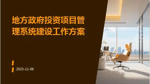 地方政府投资项目管理系统建设工作方案