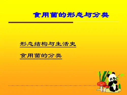 第三讲食用菌的形态与分类