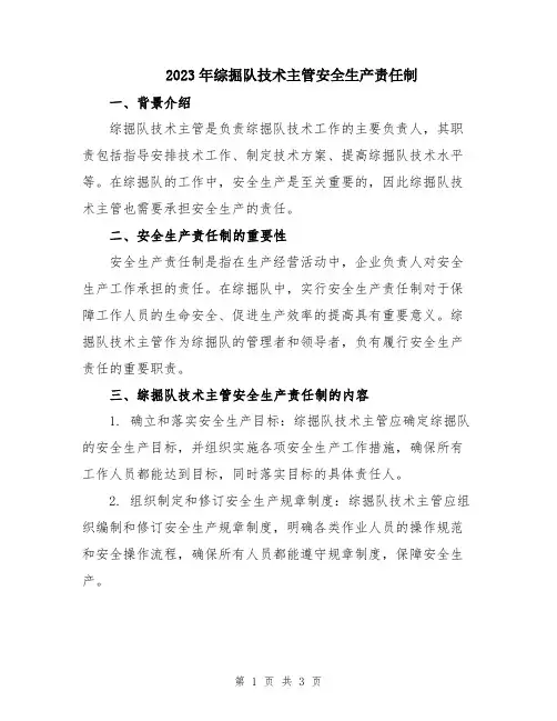 2023年综掘队技术主管安全生产责任制