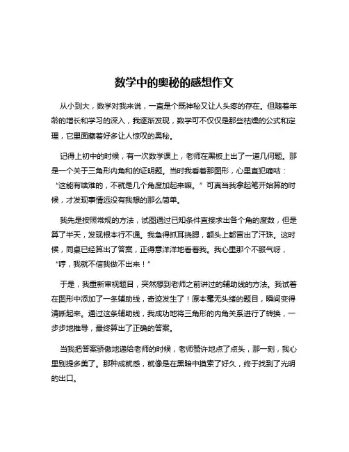 数学中的奥秘的感想作文