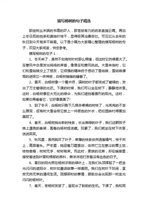 描写杨树的句子精选