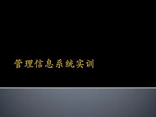 管理信息系统实训