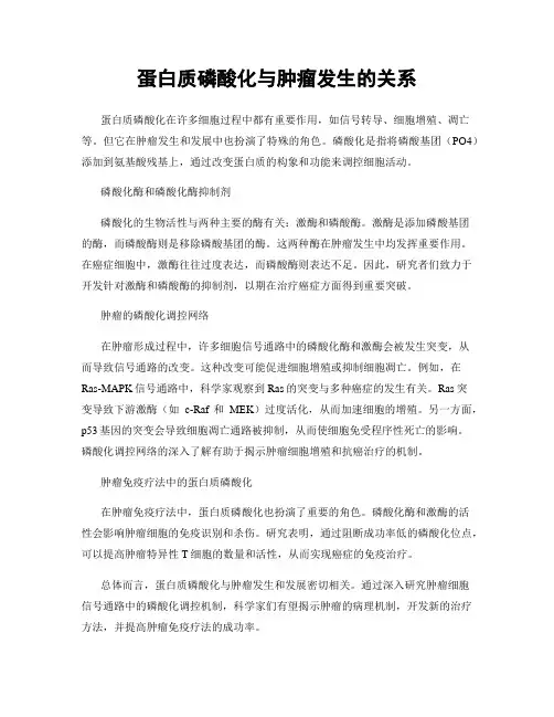 蛋白质磷酸化与肿瘤发生的关系