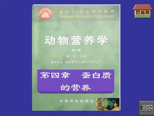 动物营养学第四章  蛋白质的营养