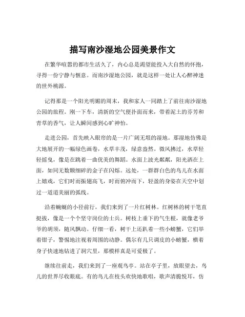 描写南沙湿地公园美景作文