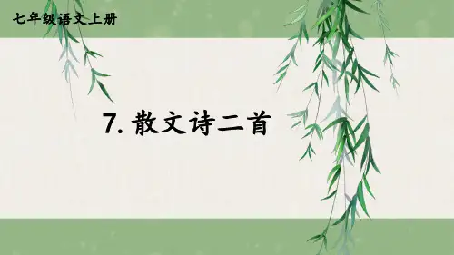 2024-2025学年初中语文七年级上册统编版7散文诗两首