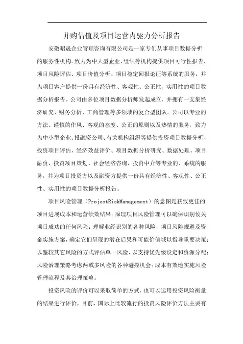 并购估值及项目运营内驱力分析报告