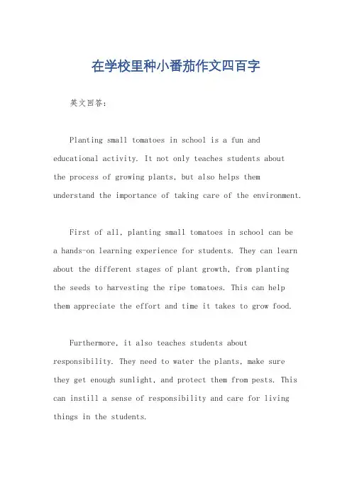 在学校里种小番茄作文四百字