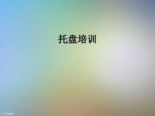 托盘培训_精品文档