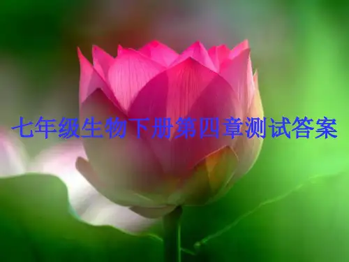 七年级下册第四章测试答案最新实用版