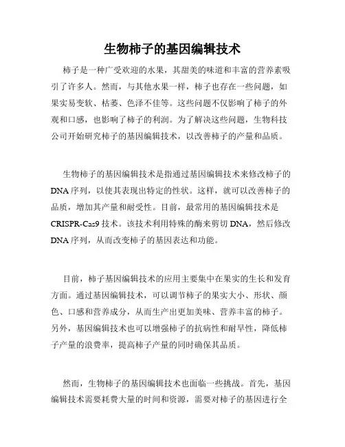 生物柿子的基因编辑技术