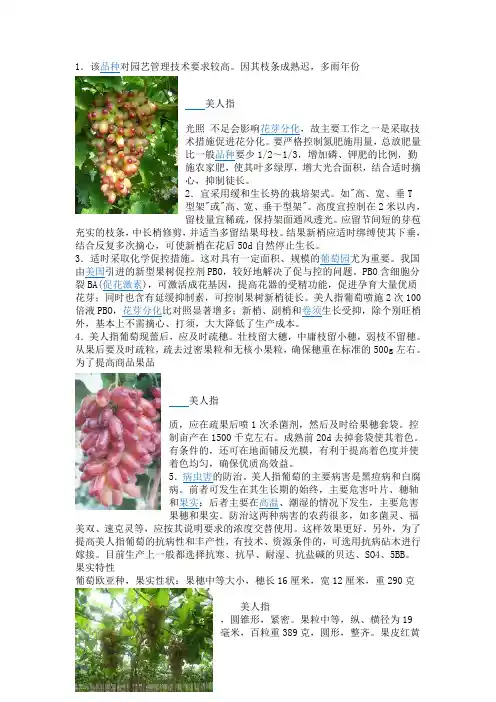 美人指葡萄栽植技术