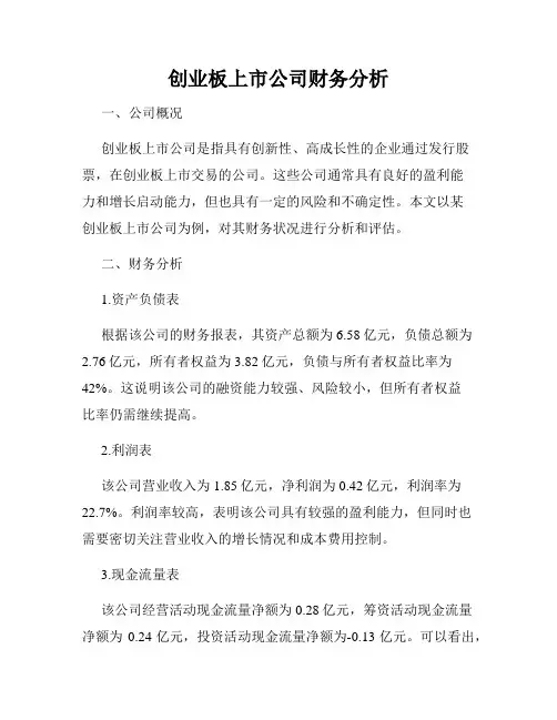 创业板上市公司财务分析