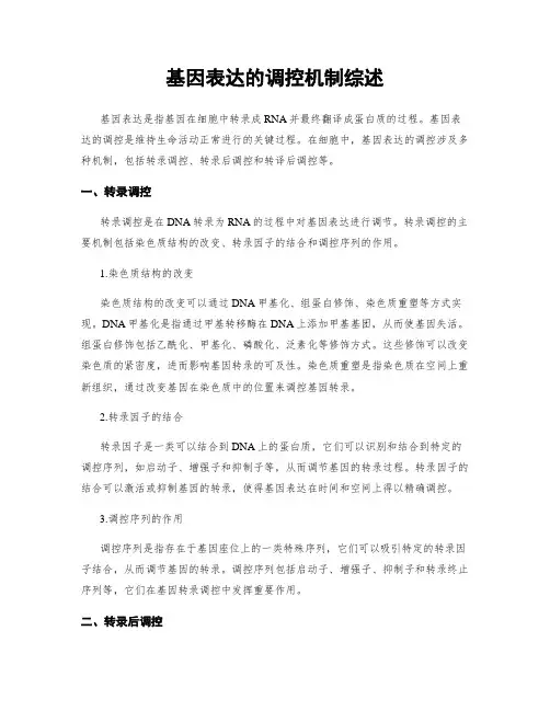 基因表达的调控机制综述