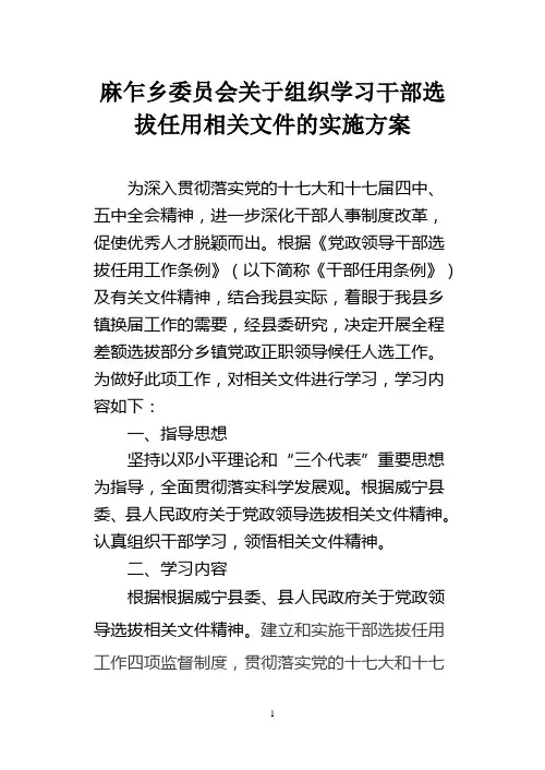 麻乍乡委员会关于组织学习干部选拔任用相关文件的实施方案