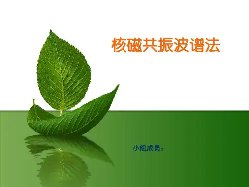 核磁共振破谱概念、原理、仪器结构-(初定版)(1)讲义