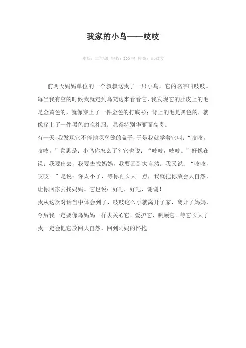 我家的小鸟——吱吱300字作文