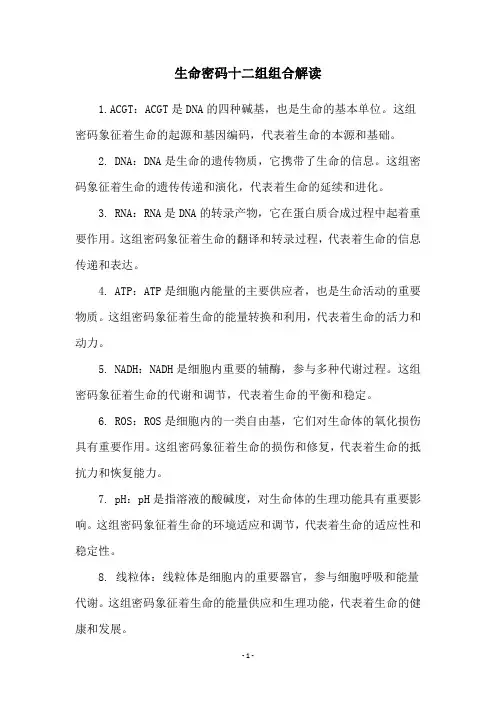 生命密码十二组组合解读
