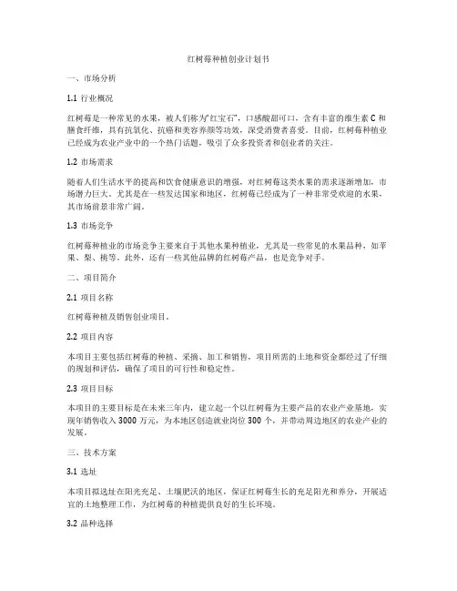 红树莓种植创业计划书
