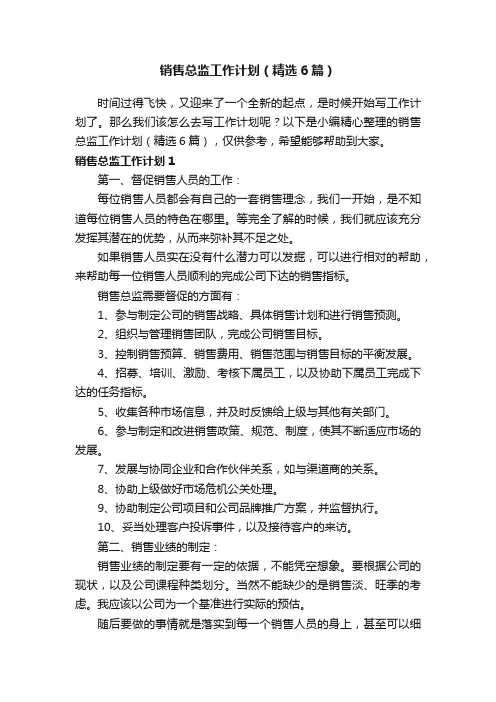 销售总监工作计划（精选6篇）