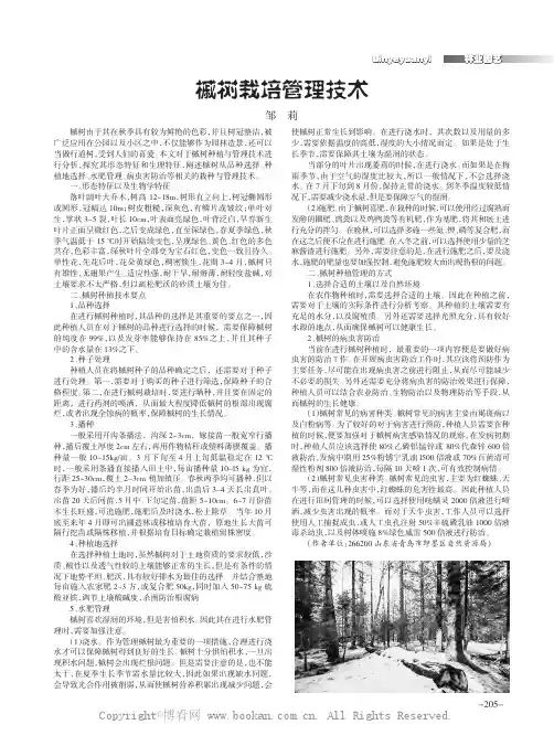 槭树栽培管理技术