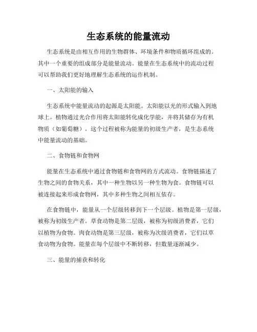 生态系统的能量流动