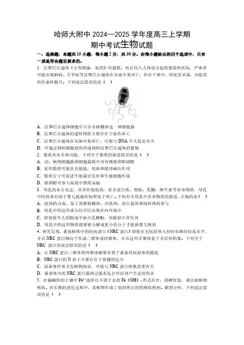 生物丨黑龙江省哈尔滨市师范大学附属中学2025届高三上学期11月期中考试生物试卷及答案