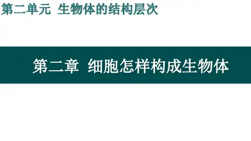 人教版七上生物第二章细胞怎样构成生物体复习课件