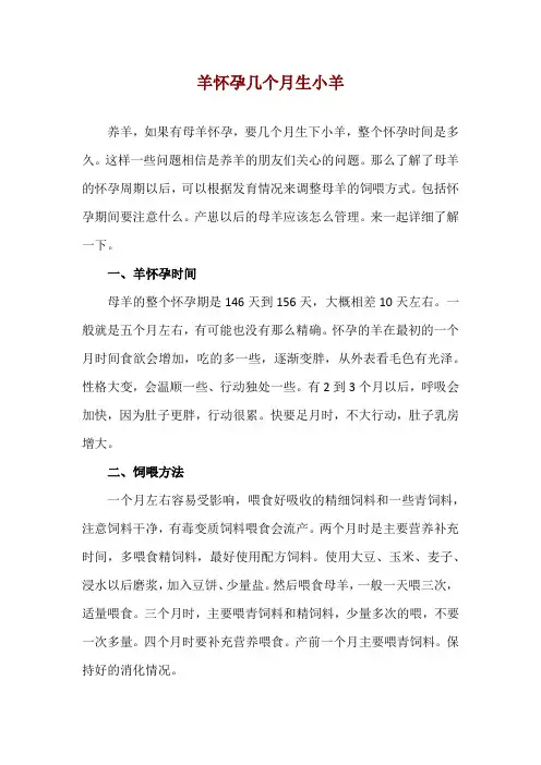 羊怀孕几个月生小羊