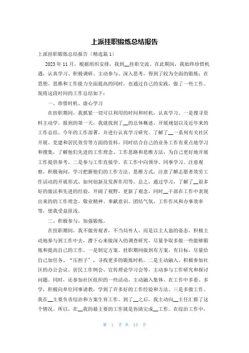上派挂职锻炼总结报告
