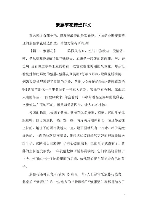 紫藤萝花精选作文