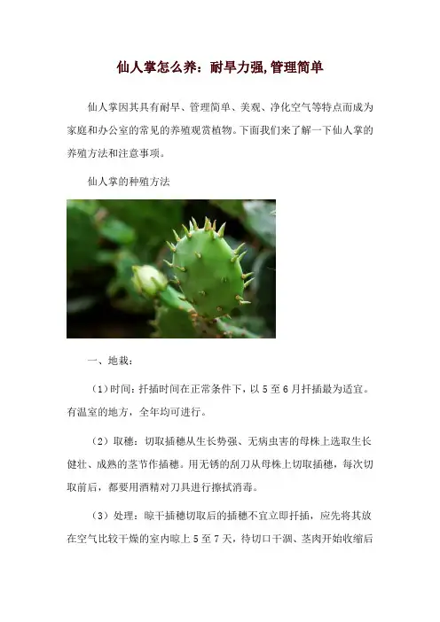 仙人掌怎么养：耐旱力强,管理简单