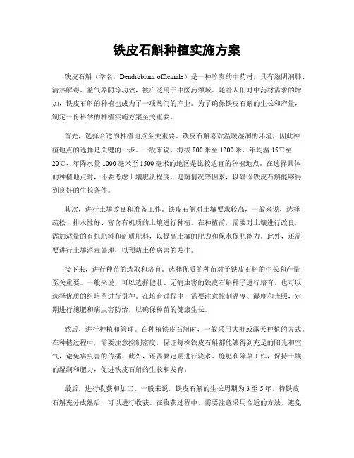 铁皮石斛种植实施方案