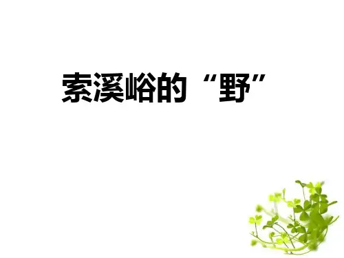 《索溪峪的“野”》PPT