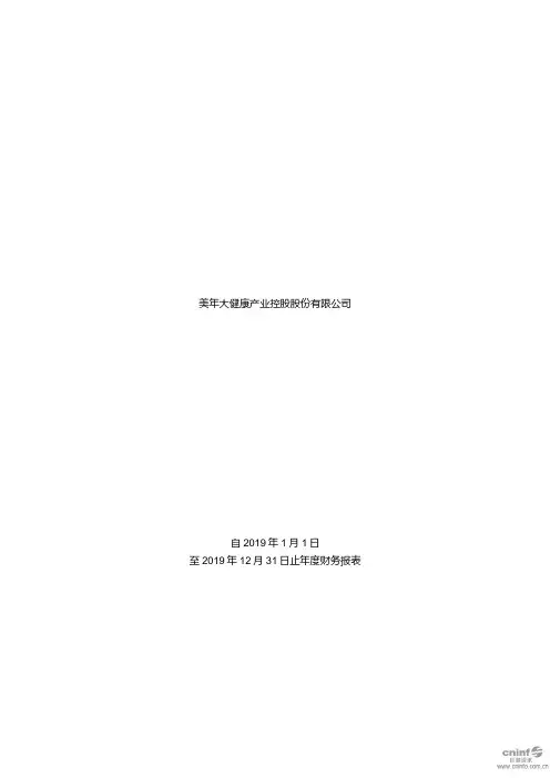 美年健康：2019年年度审计报告