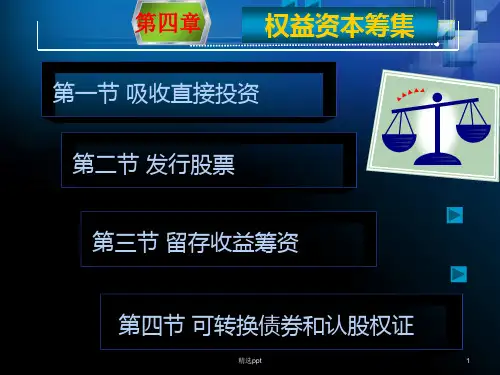 《权益资本筹集》PPT课件
